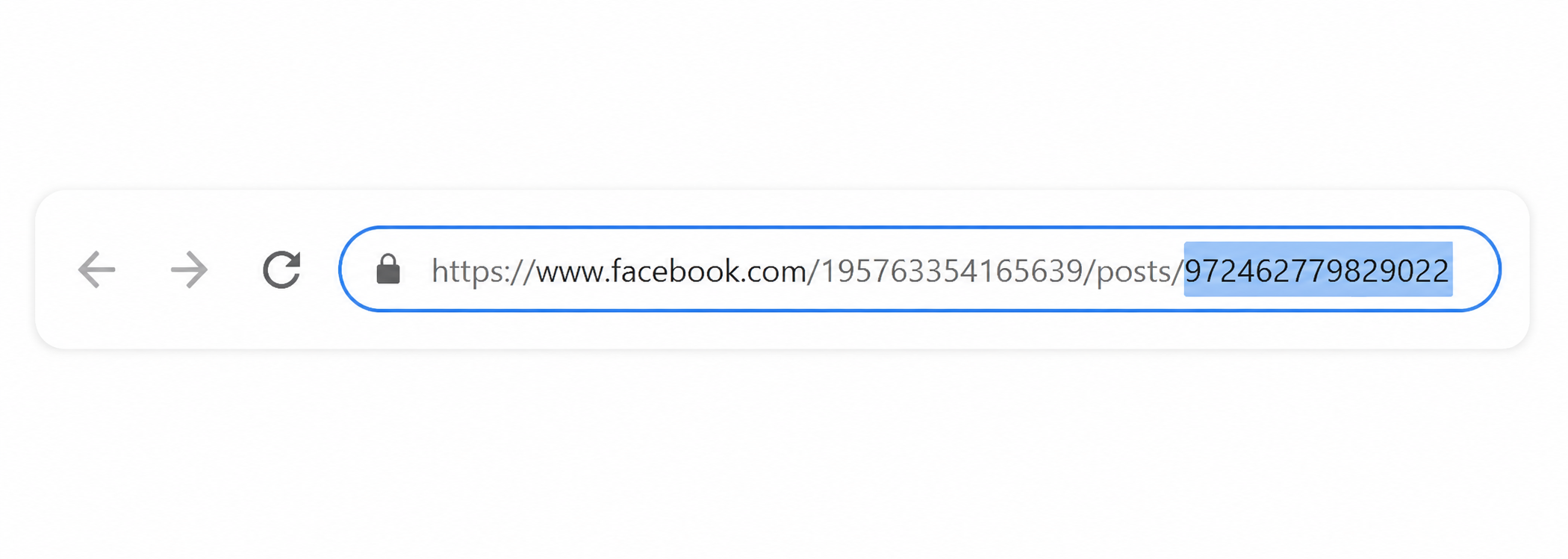 Facebook URL s post ID